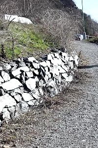 Chrissy Fox Relieves Her Urine Desperation Outdoor