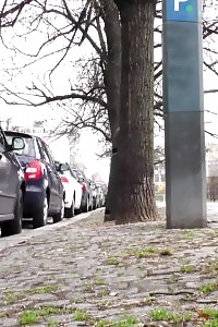Irresistable European Has A Much Needed Pee Outside