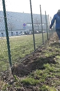Impressive Chrissy Fox Pissing Next To A Busy Highway