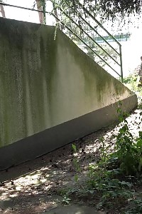 Black Haired Showstopper In Skirt Pissing Outside