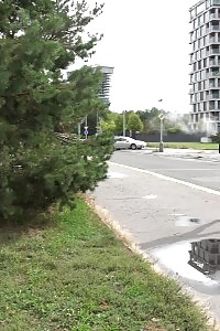 Lovely Honey In Glasses Pisses Outside