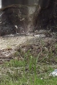 Blonde With Labia Piercing Pisses Outside