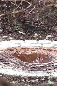 Brunette Tart Keeps On Pissing Outside