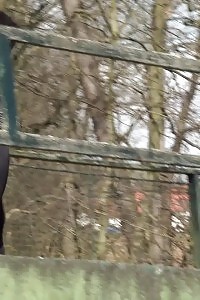 Astonishing Black Haired Babe Pissing In Public