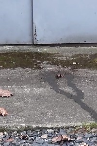 Outstanding Light-haired Squats On Concrete To Pee