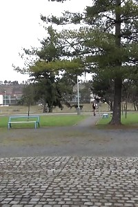 Filthy Black-haired Slut Pissing In A Public Park