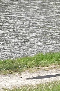 Dazzling Black Haired Model Pisses Near Some Stones