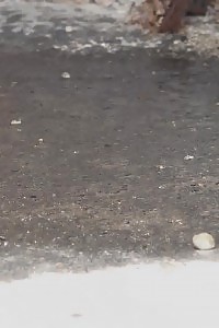 Impressive Ginger Makes A Pissy Mess Ouside