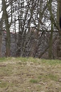 Antonia Pissing Outside Next To Drainage Pipe