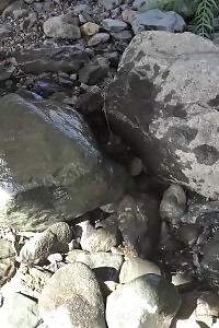 Intriguing Doll In Panty Has A Massive Pee