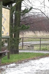 Sexy Gal In Moist Look Panty Pisses In Public