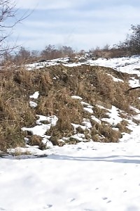 Black Haired Cutie Squats To Piss In The Snow