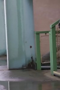 Compilation Of Seducing Peeing European Teenagers