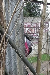 Brunette Lady Pisses On A Public Path