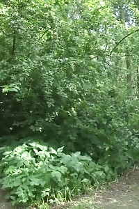 Fascinating Harlot Lena June Relieves Pee Desperation