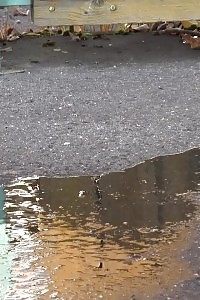 Dark Haired Stunner Leaves A Pee Puddle Public