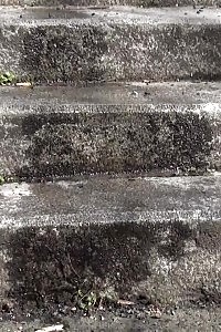 Brunette Doll Pisses On Concrete Steps