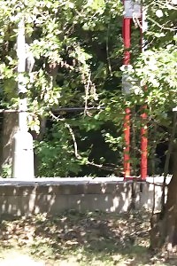 Dazzling Blonde Nikki Dream Pisses In The Countryside