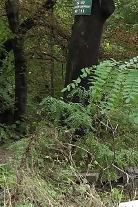 Black-haired Makes A Splash As She Pisses Outside