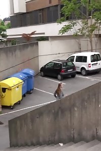 Magnificent Brunette Pisses In The Middle Of The City