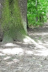 Park Peeing For Seriously Attractive Brunette Beautiful