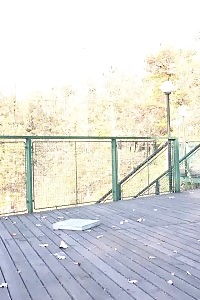 Dazzling Dark Haired Doll Pisses Over The Decking