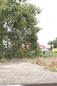 Exotic Brunette Cynthia Vellons Taking A Leek Outside
