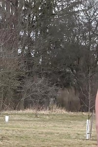 Claudia Macc Pisses In Outdoor Street In Field