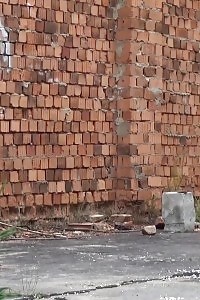 Brown-haired Lifts Her Green Dress To Piss In Public