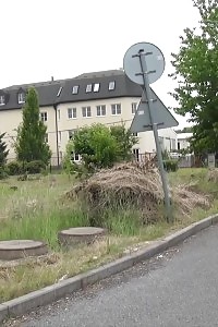 European In Pink Tank Blouse Pisses Outside