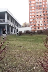 Brunette Lady Is So Desperate To Piss Outside