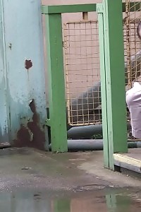 Compilation Of Seducing Peeing European Teenagers