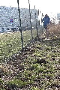 Impressive Chrissy Fox Pissing Next To A Busy Highway