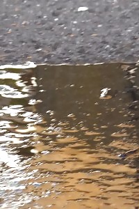 Dark Haired Stunner Leaves A Pee Puddle Public