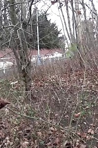 Magnificent Black Haired Chick Sprays Piss On The Ground