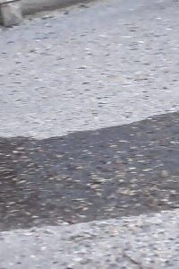 Attractive Light-haired Sprays Golden Pee Onto A Cobbled Path