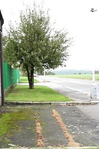 Good-looking Blonde Pisses Next To A Busy Road