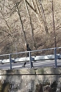 Redheaded In Glasses Squats To Pee Outdoor