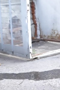 Attractive Light-haired Sprays Golden Pee Onto A Cobbled Path