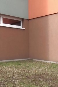 Brunette Lady Is So Desperate To Piss Outside