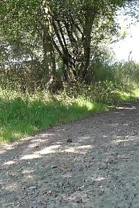 Delightful Light-haired Is Looking Around Before Pissing