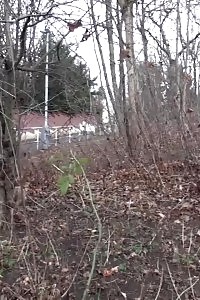 Magnificent Black Haired Chick Sprays Piss On The Ground