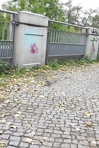 Legendary Blonde In Leapard Print Pants Pisses