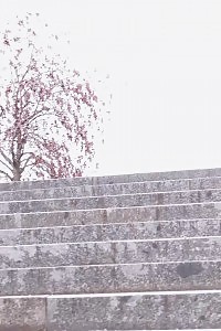 Black Haired Babe Pisses Down Concrete Steps