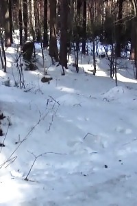 Brunette Vixen Pisses In The Snow Outside