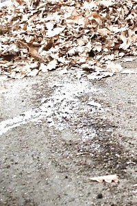 Pee Fail Scene For Sensational Lady Who Gets Innocent