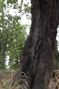 Bare Twat Is On Show In This Public Pissing Scene