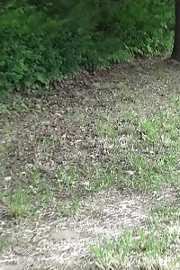 Good-looking Ginger Pisses Next To A Busy Road