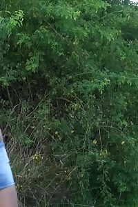 Flirtatious Blonde Pulls Down Her Undies To Pee