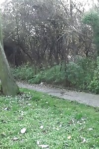 Good-looking Girl Pissing On A Public Path While Outside